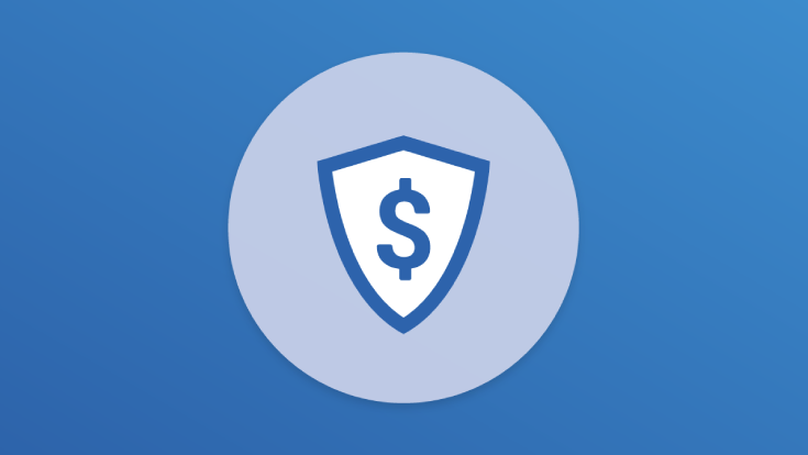Identity theft protection icon